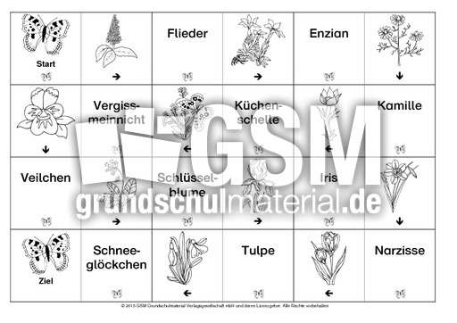 Domino-Frühlingsblüten-2-SW.pdf